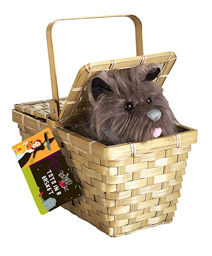 Toto With Basket