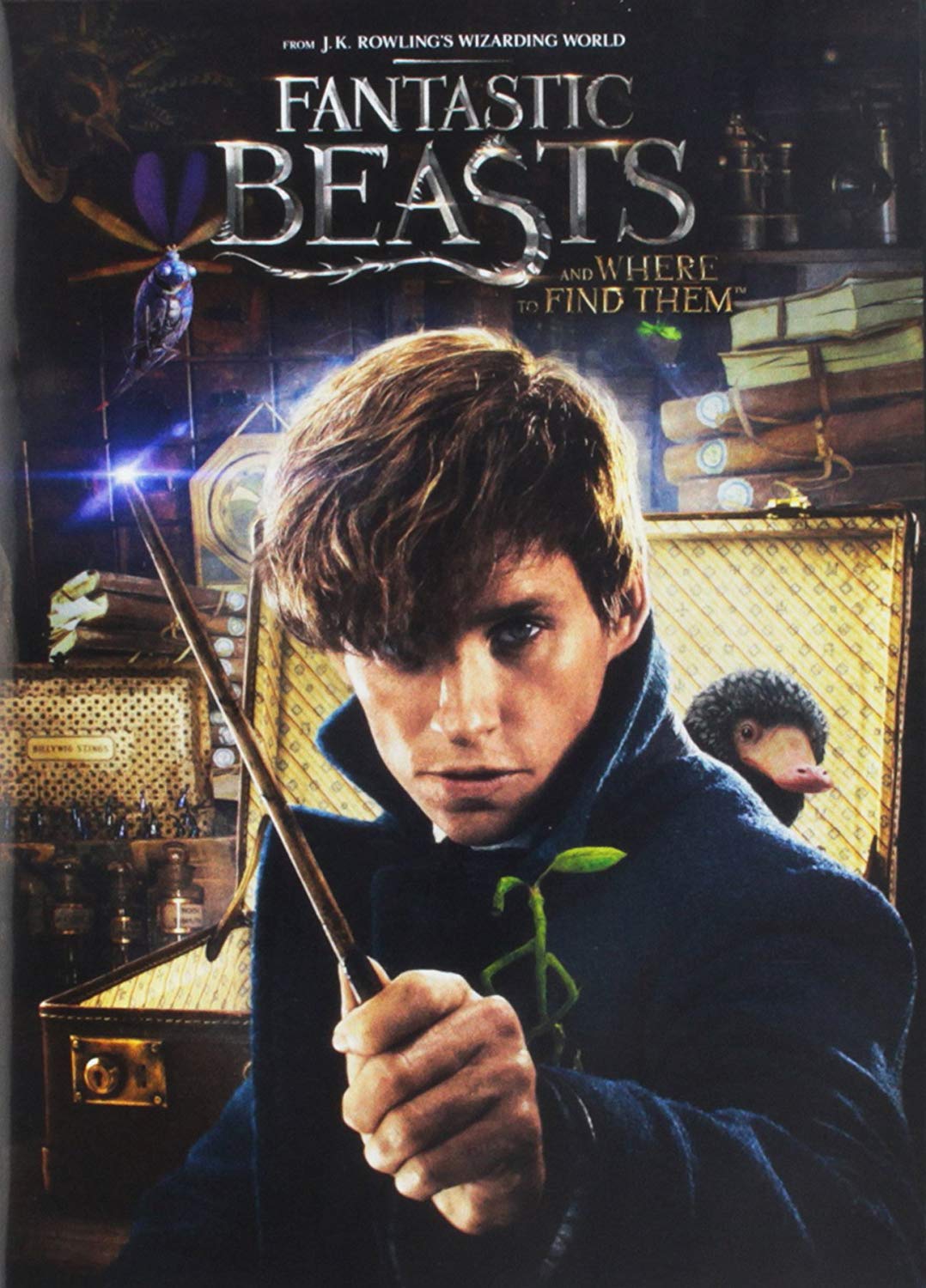 Fantastic Beasts And Where to Find Them